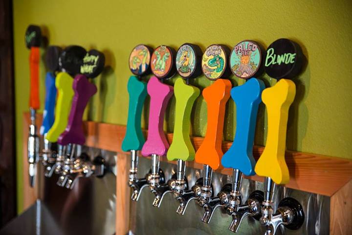 Taps at Fossil Cove Brewery