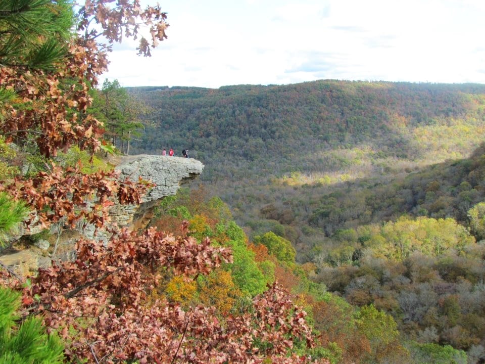 5 Unique Ways to See North Arkansas - #5 From the Top of Hawksbill Crag