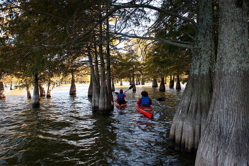 Kayaking Lake Chicot State Park