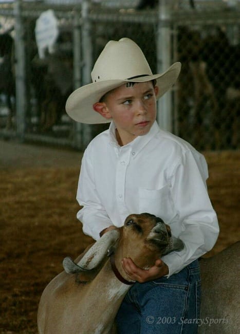 kids showing goats at fair