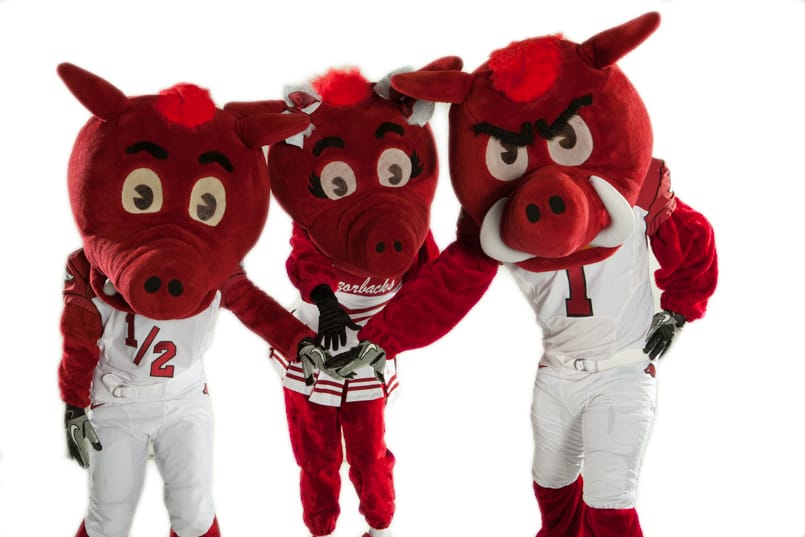 8215_Arkansas-Mascots-2011-1