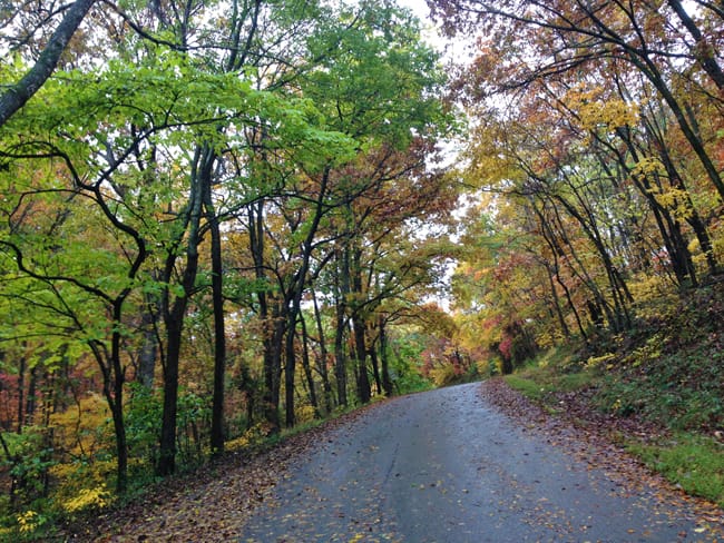 Fall Foliage in Arkansas