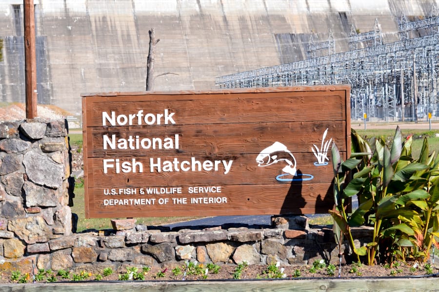 norfork-fish-hatchery sign