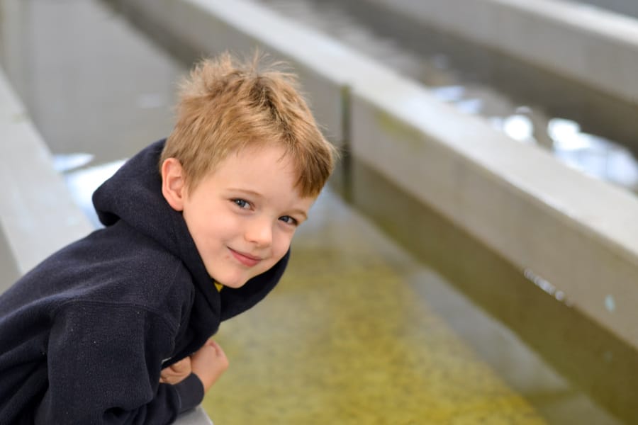 norfork-fish-hatchery kid