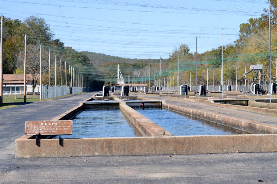 norfork-fish-hatchery tanks