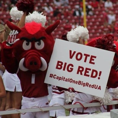 BigRedVote, Big Red Razorbacks