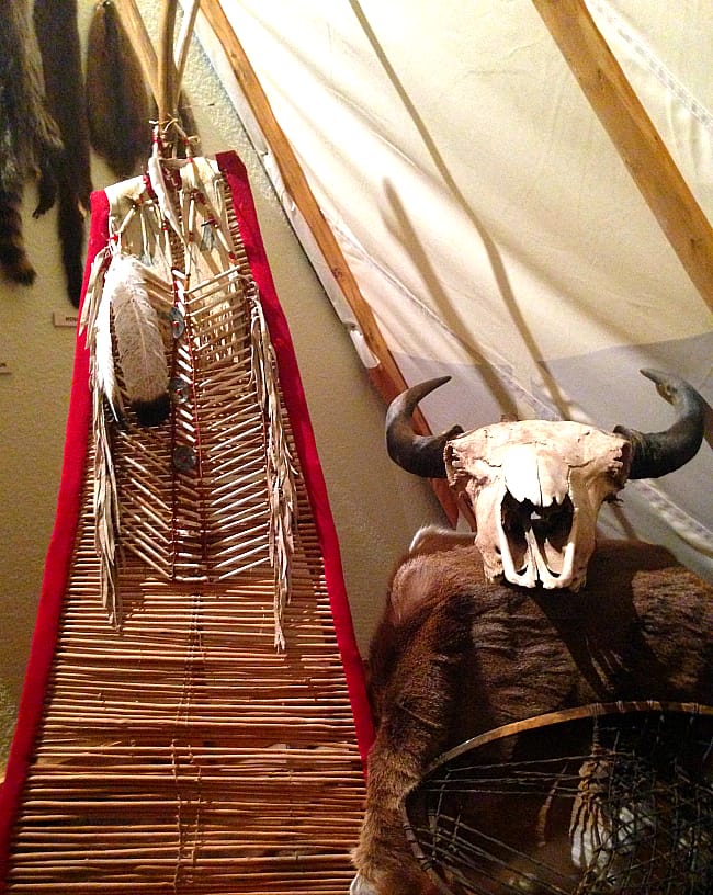 buffalo skull and ceremonial dress