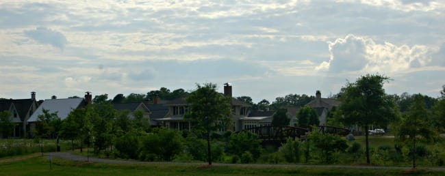 Hendrix Creek Preserve 2