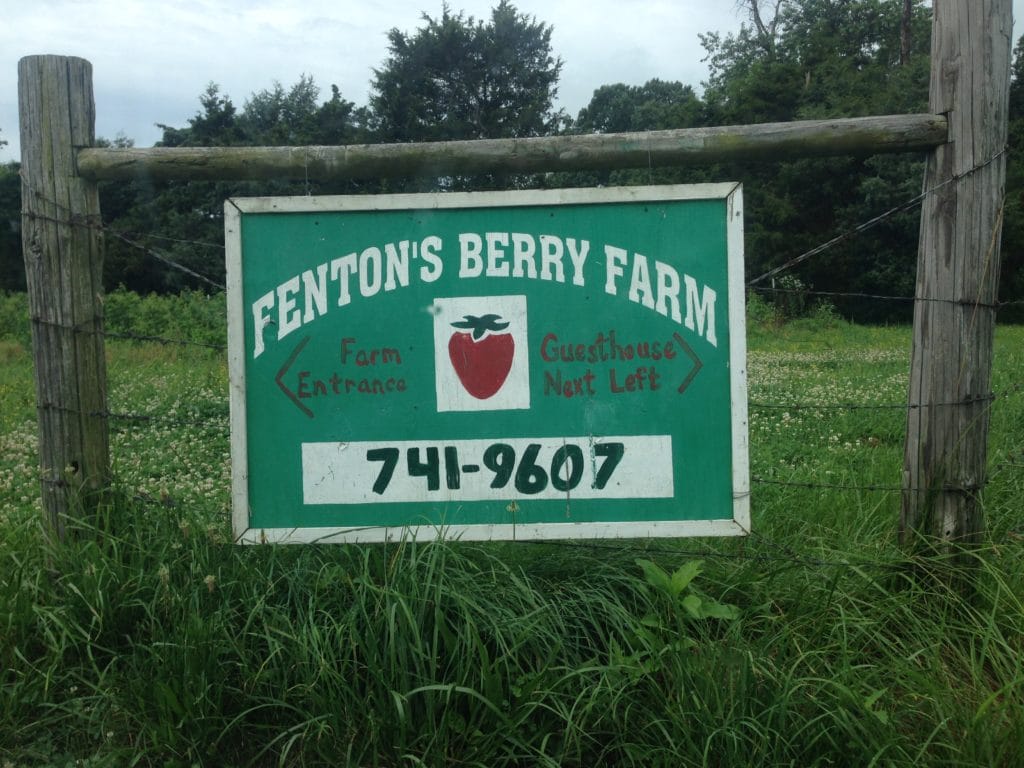 Fenton's Berry Farm