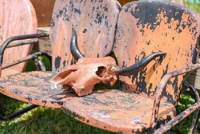 Junk Ranch Fall 2015 Vintage glider and cow skull