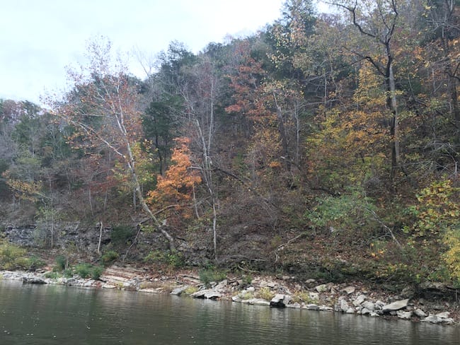 6 Scenic Spot on the Buffalo River near Grinder's Ferry