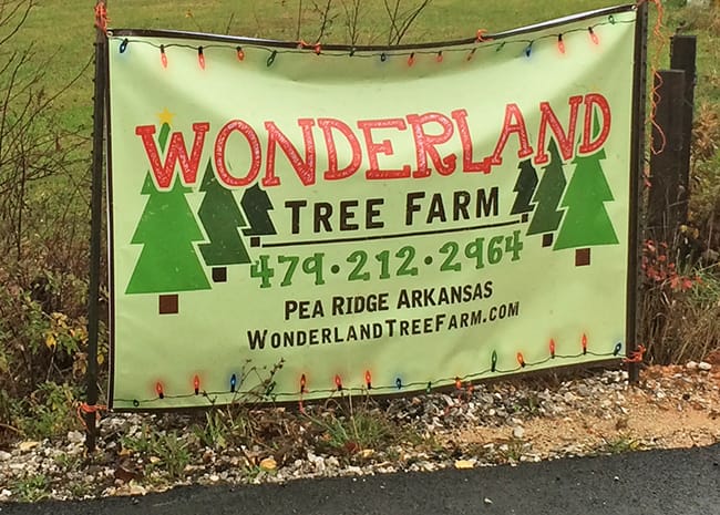 Wonderland Tree Farm