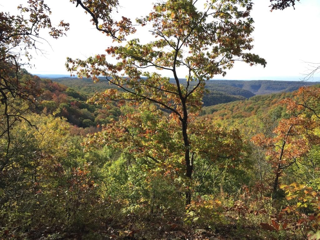 Banner Colorful Trees and mountains on the Ozark Highlands Trail