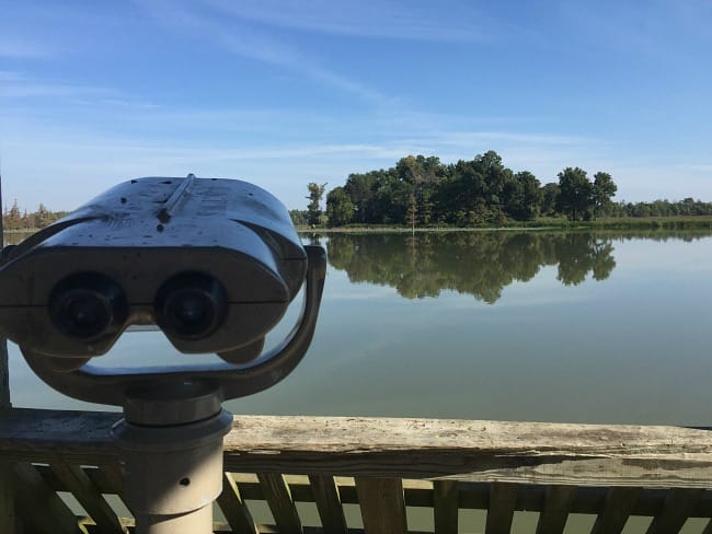 Big Lake - binoculars