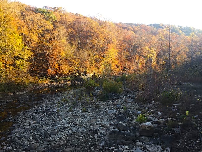 Dried up Creek on the Ozark Highlands Trail