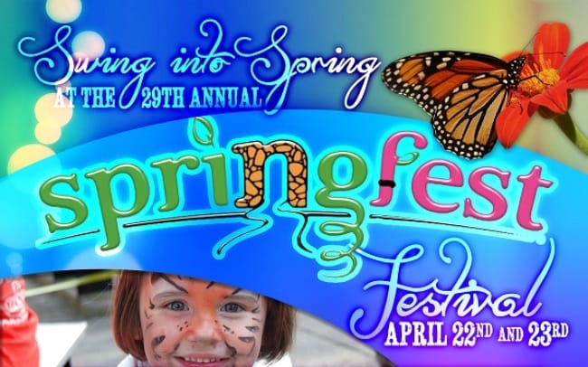 29th Annual Springfest