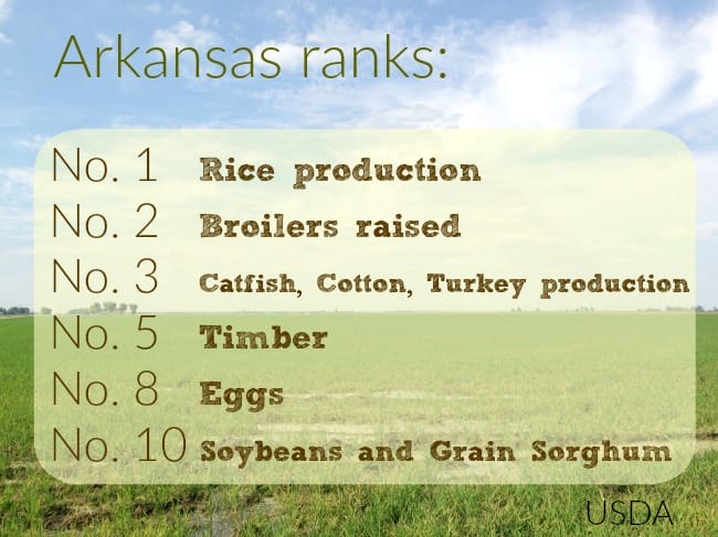 Arkansas agri stats