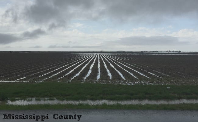 spring planting mississippi county