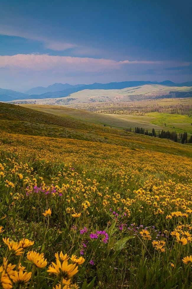 America's Splendid Beauty by Tim Gorman