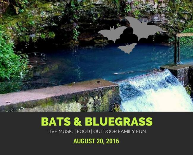 4th Annual Bats & Bluegrass