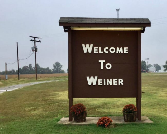 weiner