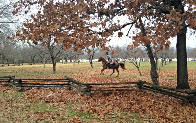 mounted-soldier