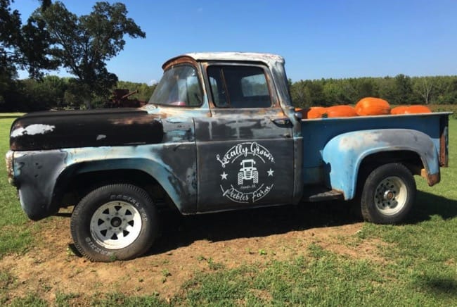 Peebles Farm on Highway 64 in Augusta, Arkansas