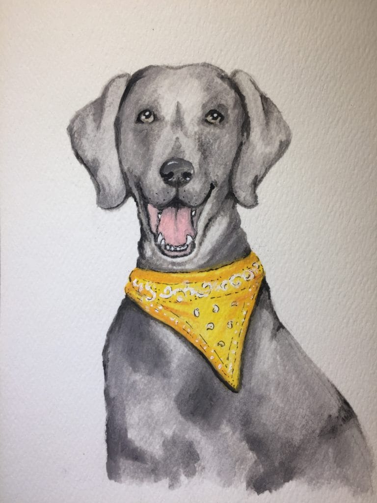 pet watercolor