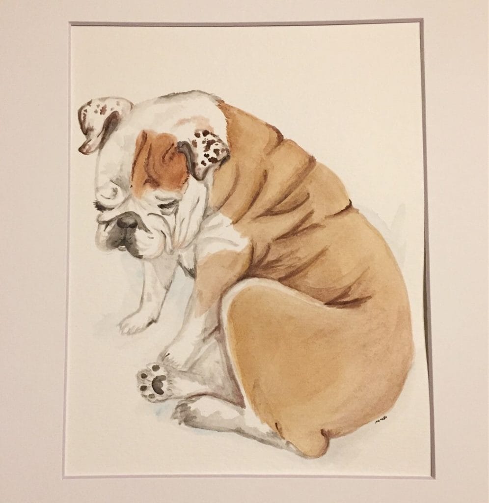 pet watercolor