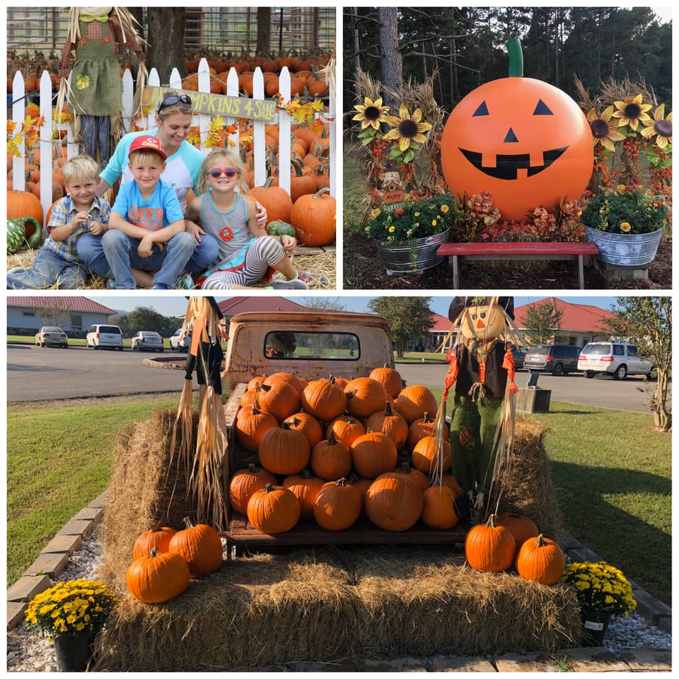 Arkansas Pumpkin Patches