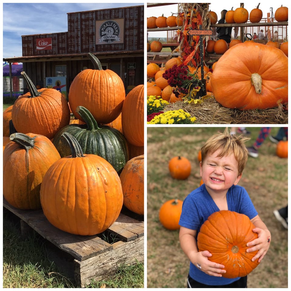 Arkansas Pumpkin Patches