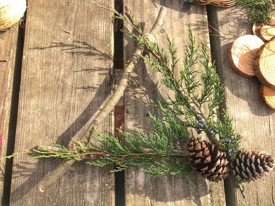 Forage Christmas Decor from the Arkansas Woods