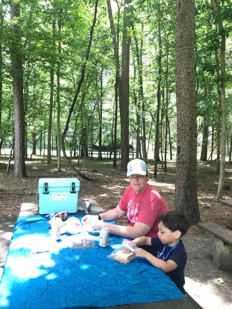 Arkansas Picnic