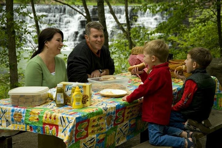 Petit Jean Park Picnic