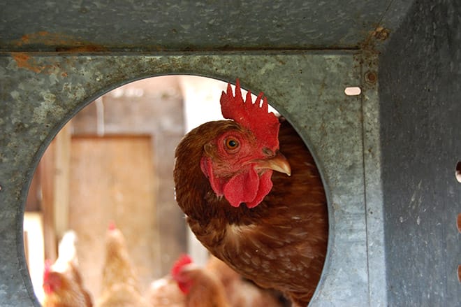 Tour de Farms - Only In Arkansas