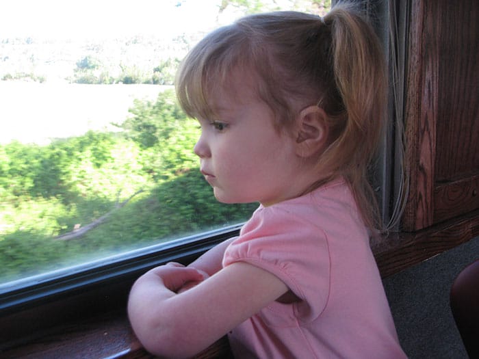 Emmy At The Excursion Train Window