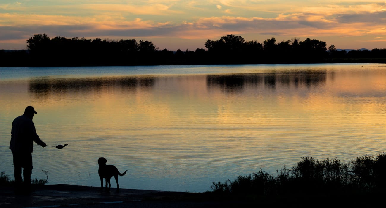 Photo by Heather Owen - Duck Training at Sunset - Only In Arkansas