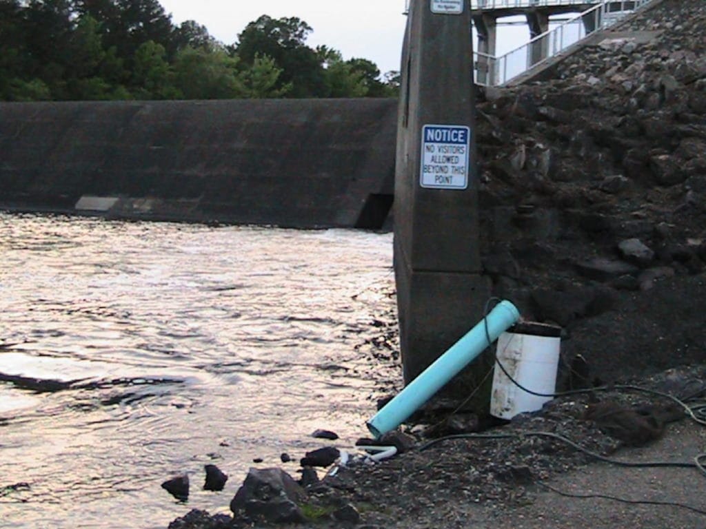 Only In Arkansas - American Eel Ladder and Bucket