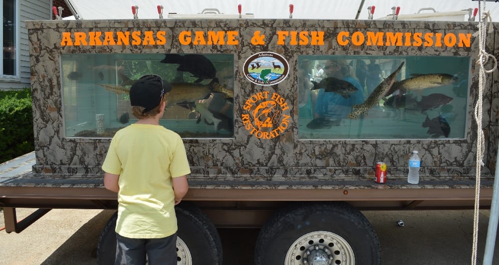 The 17th Annual Buffalo River Elk Festival - AGFC Sport Fish