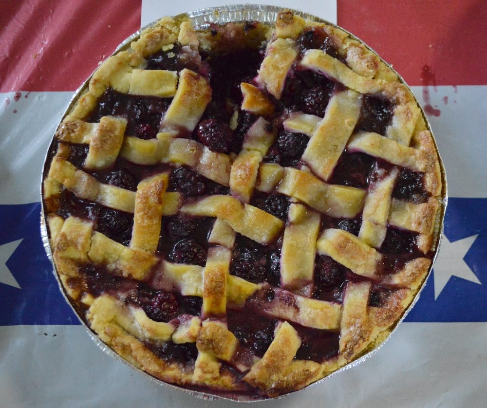 The 17th Annual Buffalo River Elk Festival - Americana