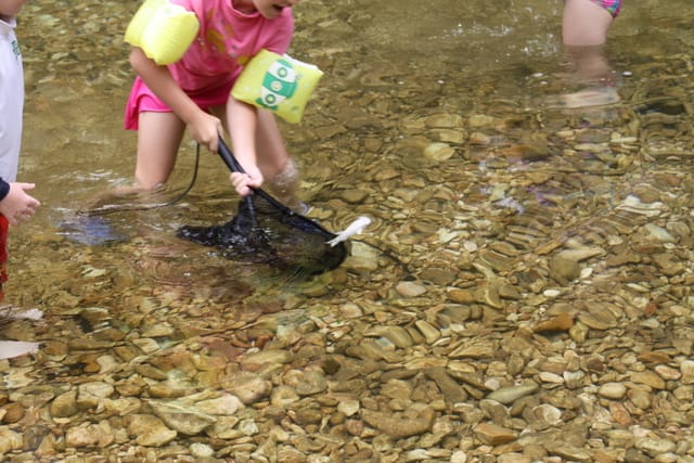 Family Fun Near Fifty-Six - Fishing