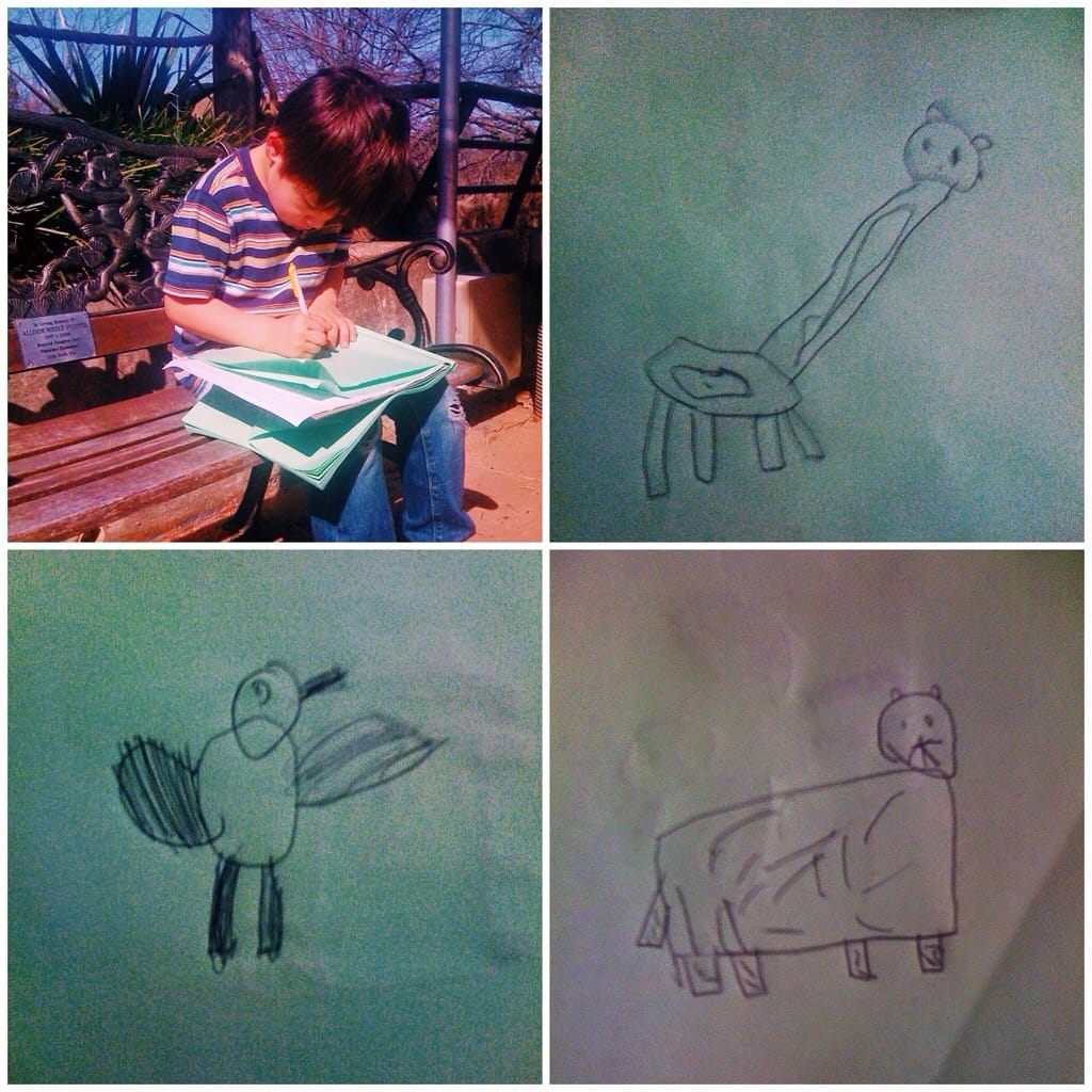 Little Rock Zoo in the afternoon