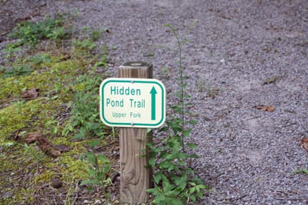 Sugar-Loaf-HiddeenPond, Hiking Sugar Loaf Mountain, Only In Arkansas