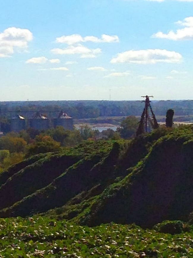 The view from Battery C