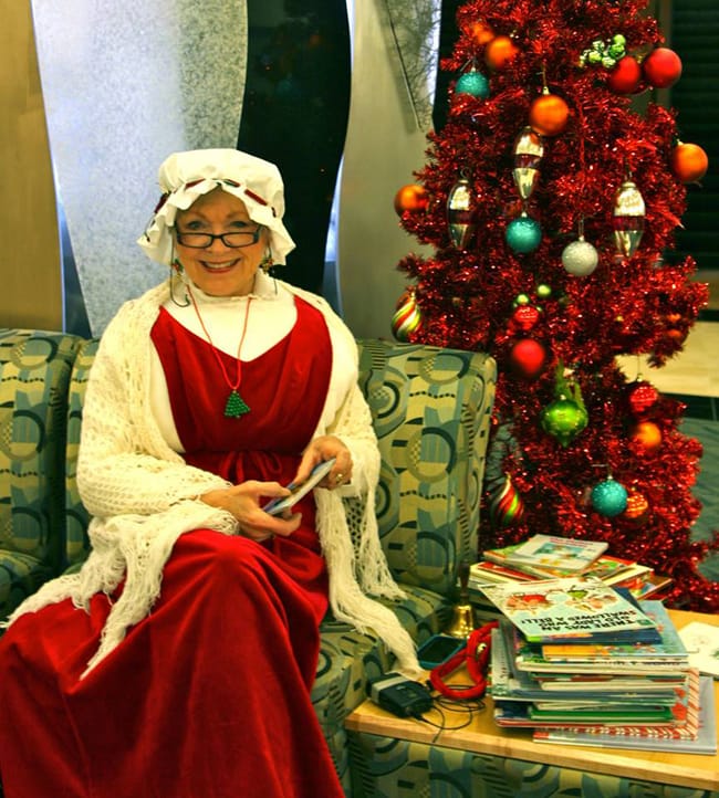 Holiday House Ms. Clause