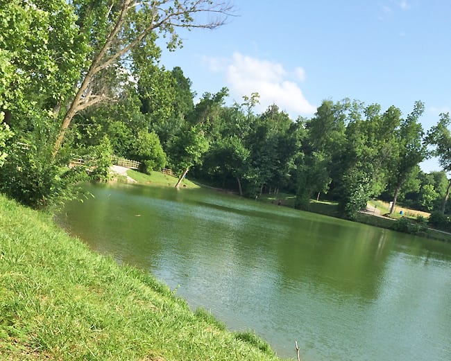 JB Hunt Park in Springdale