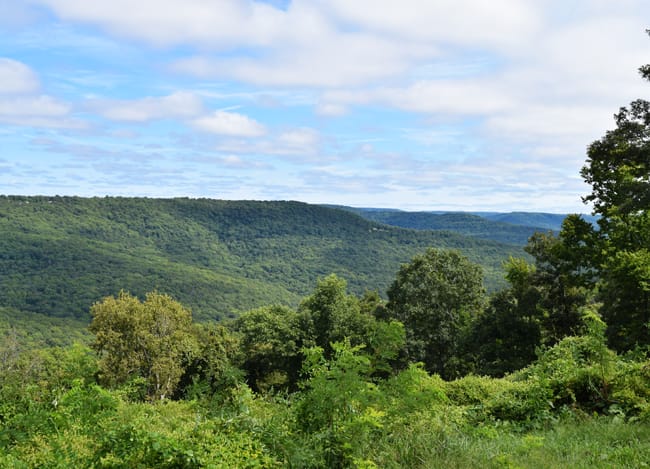 View from Boston Mountains Scenic Loop