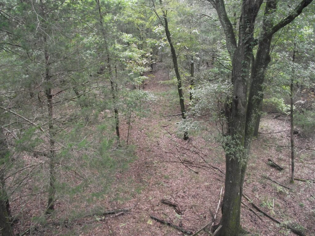 fromthestand, Arkansas Hunter's Wife