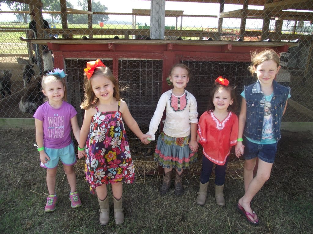 pumpkinpatch7