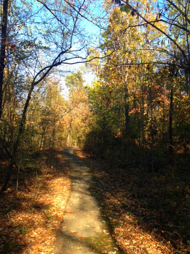 Chalk Bluff Civil War Battlefield